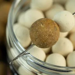 Sticky Baits Manilla White Ones Pop-Ups -Aas Verkoopwinkel 589e430aa6024b77be20a183913b33d5