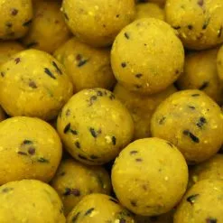 Martin SB Boilies 1 Kg 20 Mm Scopex -Aas Verkoopwinkel 9fcefbb7d9144b95a7621eaebfdbc214