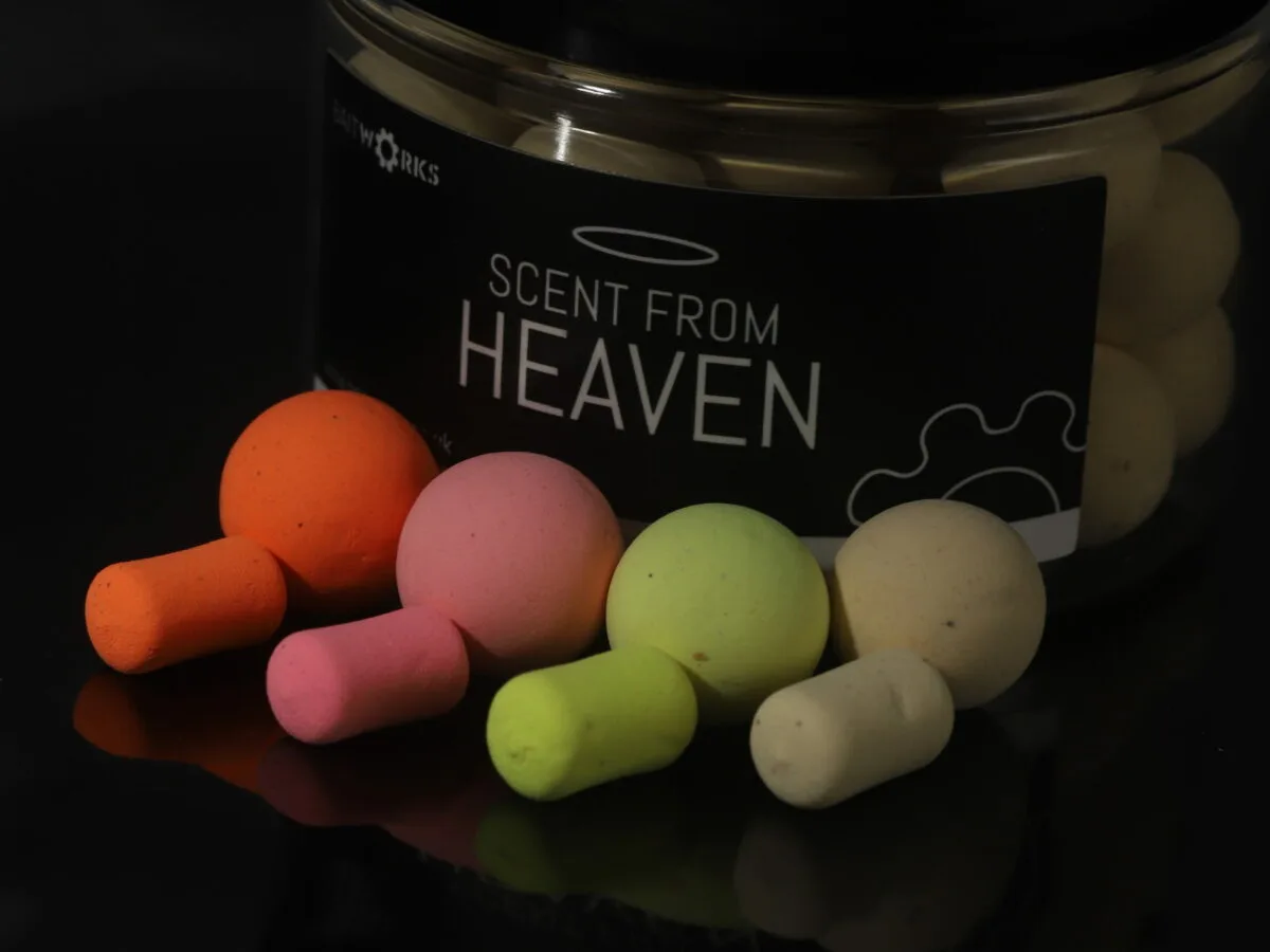 Aas Verkoopwinkel 17 Aas Verkoopwinkel -Aas Verkoopwinkel IMG 0853 scaled 1200x900 1