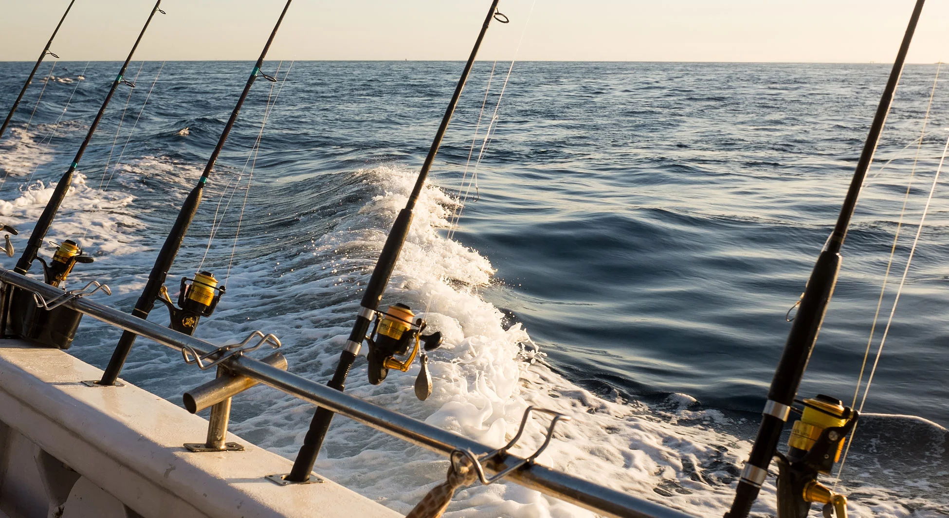 Aas Verkoopwinkel 1 Aas Verkoopwinkel -Aas Verkoopwinkel outcast banner 03